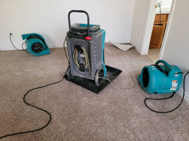Best Basement water damage restoration  in Iowa Park, TX