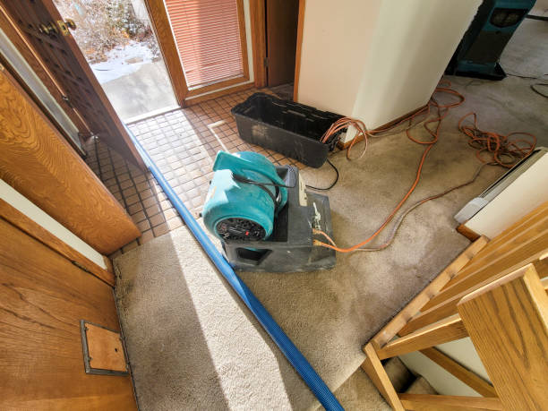 Best Commercial water damage restoration  in Iowa Park, TX