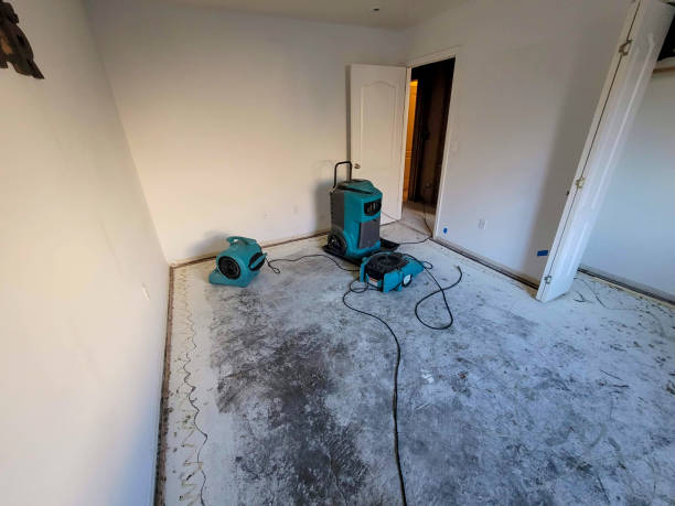 Best Local water damage restoration  in Iowa Park, TX