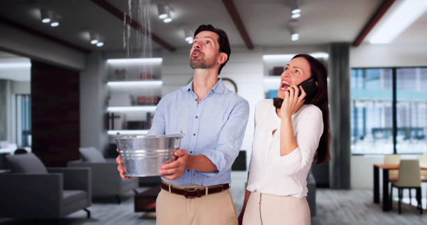 Best Water damage contractors near me  in Iowa Park, TX