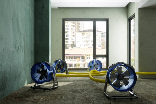 Best Water damage cleanup near me  in Iowa Park, TX
