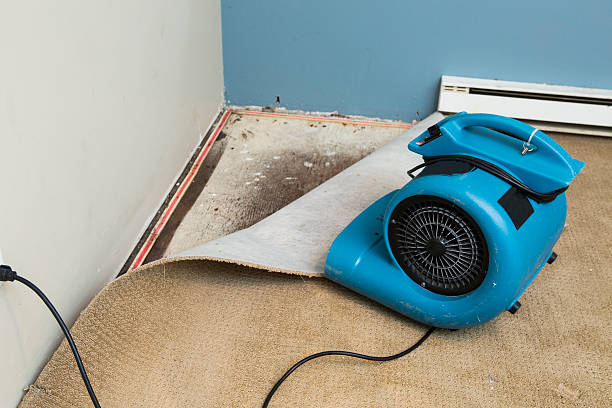 Best Residential water damage restoration  in Iowa Park, TX
